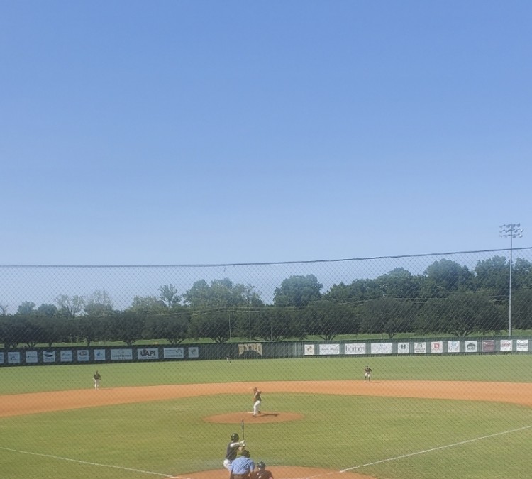 the-hive-ce-byrd-baseball-field-photo
